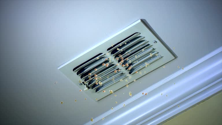Ventilation Cleaning Services in Connelly Springs, NC